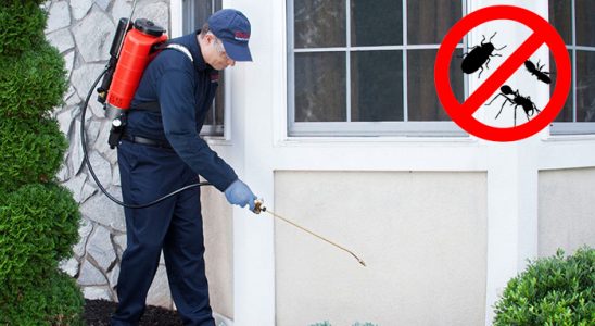 Maltepe Böcek İlaçlama böcek ilaçlama ve haşere kontrolü — ilaclama-tr.com